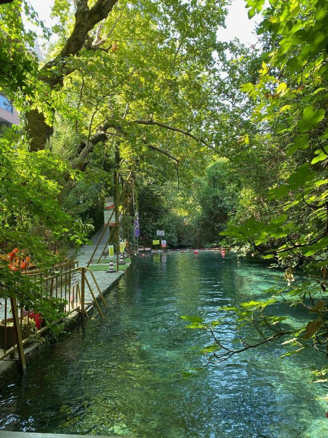 Yuvarlakcay Cinar Butik Otel Koycegiz Luaran gambar